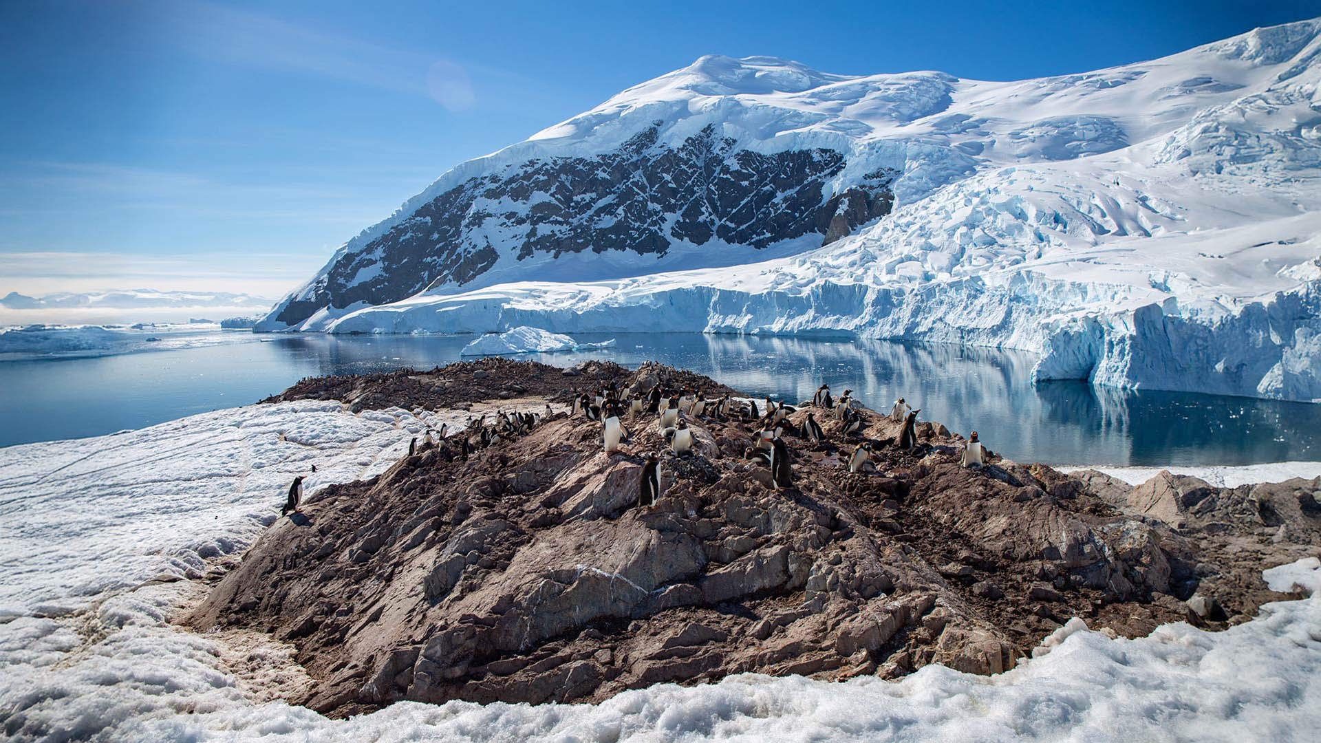 Penguins in Antarctica on an Atlas Ocean Voyages expedition