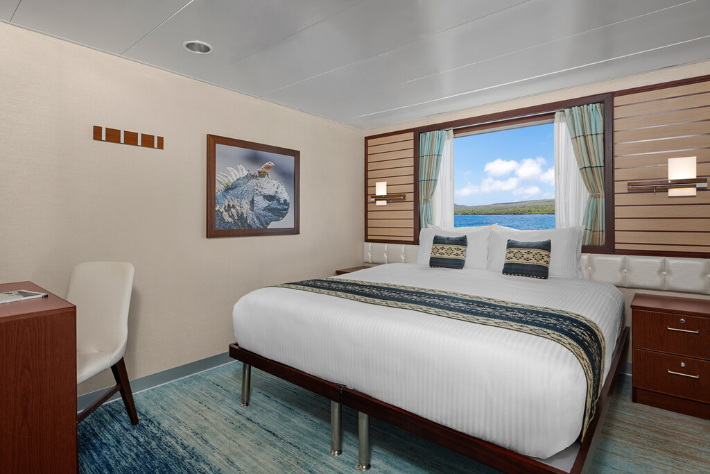 National Geographic Endeavour II Category 01 accommodation