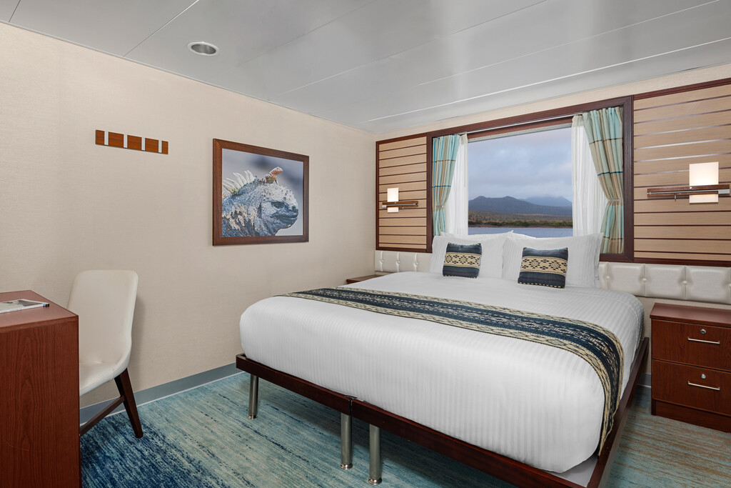 National Geographic Endeavour II Category 3S accommodation