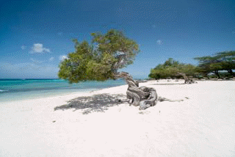 Silversea Cruises Silver Spirit Map 2028 World Cruise Bridgetown to Bridgetown